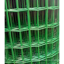 Green PVC Holland Wire Mesh